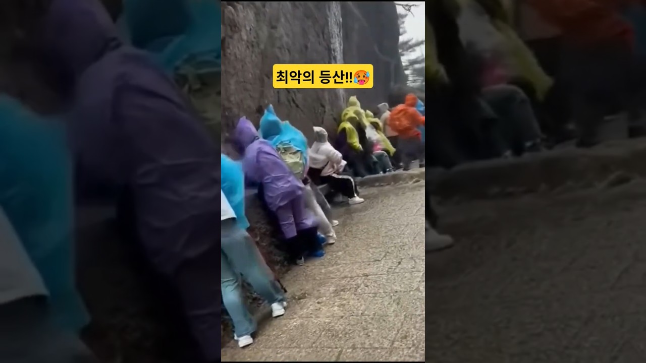 마지막 등산 순간..... #쇼츠 #눈요기 #등산