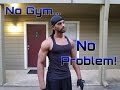 No Gym No Problem Shoulders and Traps