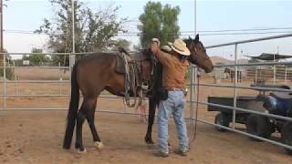 Horse in bucking fit - how to control a bucking horse