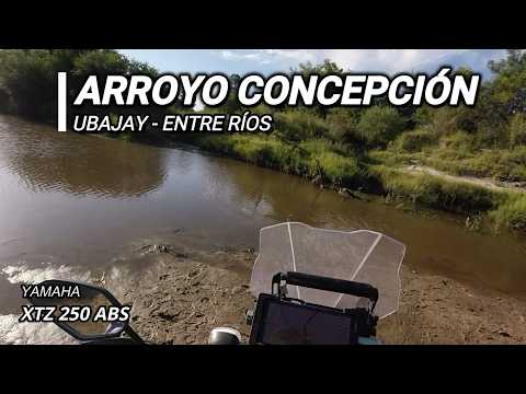 Cruce Arroyo Concepción - Ubajay - Entre Ríos - Febrero 2026