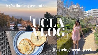 UCLA VLOG | spring break, going on dates, first days back in school 🌷