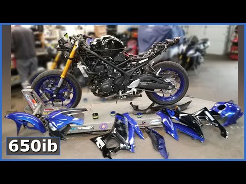 Did I TOTALLY DESTROY My 2019 Yamaha R3?