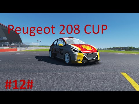 Vidéo Test #12 Peugeot 208 CUP
