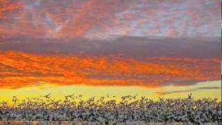 Grateful Dead ☮ Eyes of the World, 9/18/74 - HD/HQ