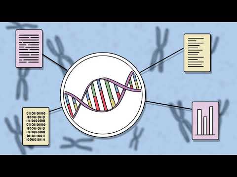 Newstem | How Stem Cell Diagnostics Help Cure Cancer | Whiteboard Animation logo