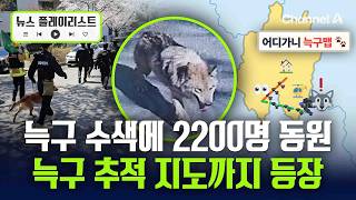 탈출한 늑구, 수색 장기화되나…실시간 '늑구맵' 등장 [뉴스플레이리스트] / 채널A