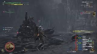 モンハン配信　テストしながら