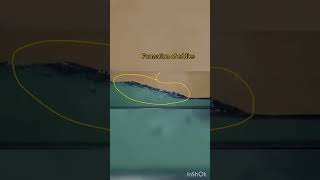 Hydraulic engineering/OCF/RVF/Hydraulic jump/Non uniform open channel flow/hydraulic site view.