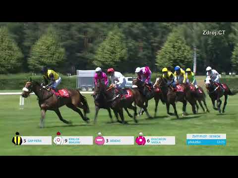 21. 6. 2025 - 5. dostih - Pohár Slavia pojišťovny – II. kvalifikace na 135. Vp se Sp