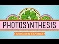 Documentary Science - Crash Course - Biology - Photosynthesis