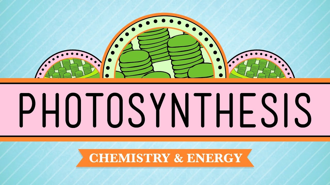 Ch.7 Photosynthesis