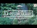 Mangeoire La Pestaculaire Nature Market Mangeoires