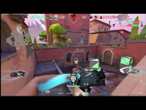 JETT FLEX LIKE TRUNKZ