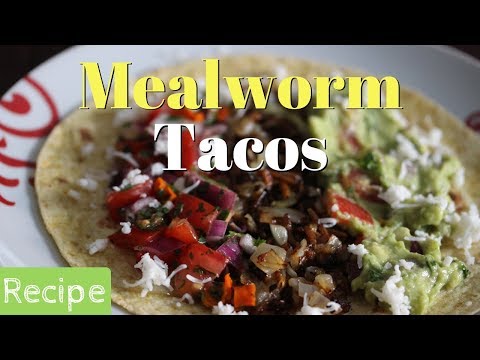 Mealworm Tacos | Recipe