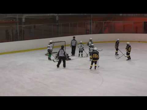 Пингвины 2004 - Орбита 2004 -  08.10.2016