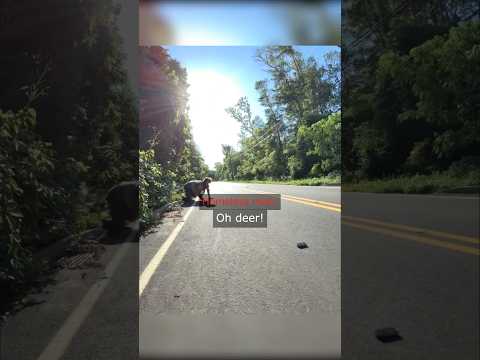 Riding With Bro Ended Badly…