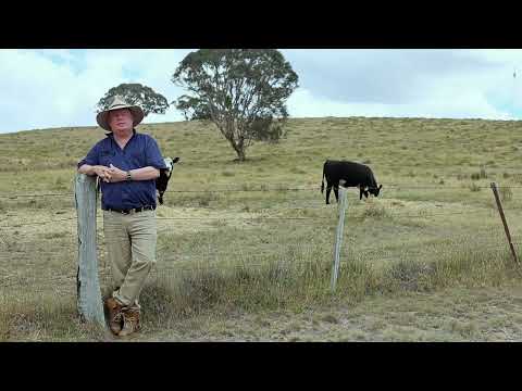"Hilltop" 38 Rock Lodge Road, Lade Vale, Gunning, South Coast, 0 Kuwarto, 0 Banyo, Lifestyle Property