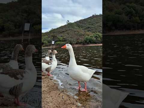 MIRÁ EN QUÉ TERMINÓ ESTA CAMINATA POR SENDEROS EN TRASLASIERRA 😍😍😍