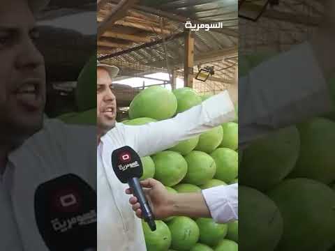 فيديو | الديوانية ما محسوبة على المحافظات؟ #shorts