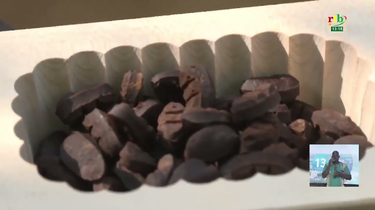 Immersion dans le un jardin botanique du professeur Paulin Ouoba au cœur de l’université Nazi Boni