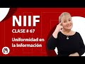 773 Uniformidad En La Información NIIFF Para Pymes Clase 67
