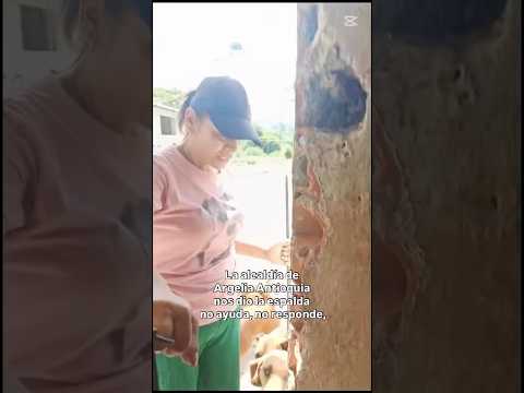 ALCALDÍA DE ARGELIA ANTIOQUIA NEGLIGENTE!! LOS ANIMALES NO SOLOS, EL MALTRATO AHORA ES PENALIZADO!!