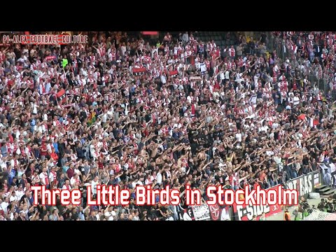 Three little birds in Stockholm (Ajax)