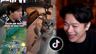 Download lagu Kucing Tergesrek Sedunia & Luke Beli Kursi Gaming 70 Jt?! - EMPACTION #218 mp3 Download lagu Kucing Tergesrek Sedunia & Luke Beli Kursi Gaming 70 Jt?! - EMPACTION #218 mp3