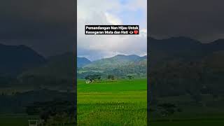 Download lagu Geblek Menoreh View - Healing untuk Mata dan Hati #geblekmenorehview #kulonprogohits #kulonprogo mp3