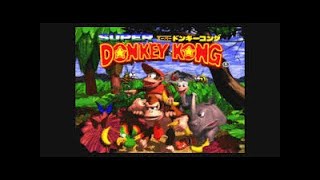 【コメ付き】スーパードンキーコング 101%【TAS】