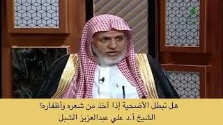 أ.د. علي الشبل | هل تبطل الأضحية إذا أخذ من شعره وأضفاره؟ image