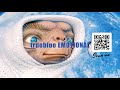 The Monkey Mind Is On The Prowl by Steve Dawson & Funeral Bonsai Wedding