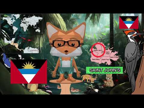 Antigua & Barbuda Country Facts for Kids Learning
