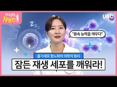 줄기세포를 통한 항노화의 의학적 원리