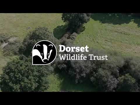 Wild Woodbury: Two years on