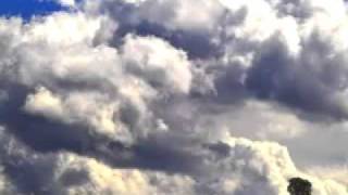 Trauer (Grönemeyer)