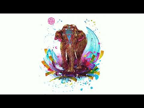 Black Roses Boy - Shangri La