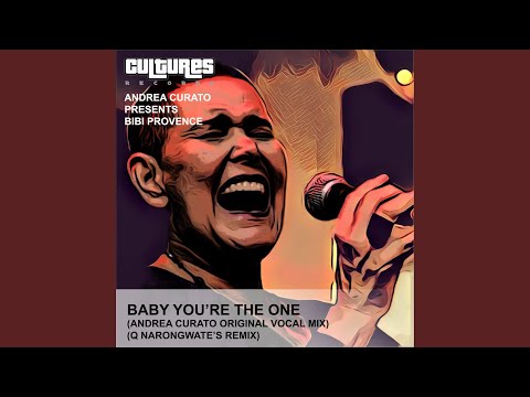 Baby You're the One (feat. Bibi Provence) (Vocal Mix)