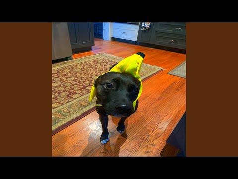 Kill the Planet (feat. Roxtaradam & Hxstage)