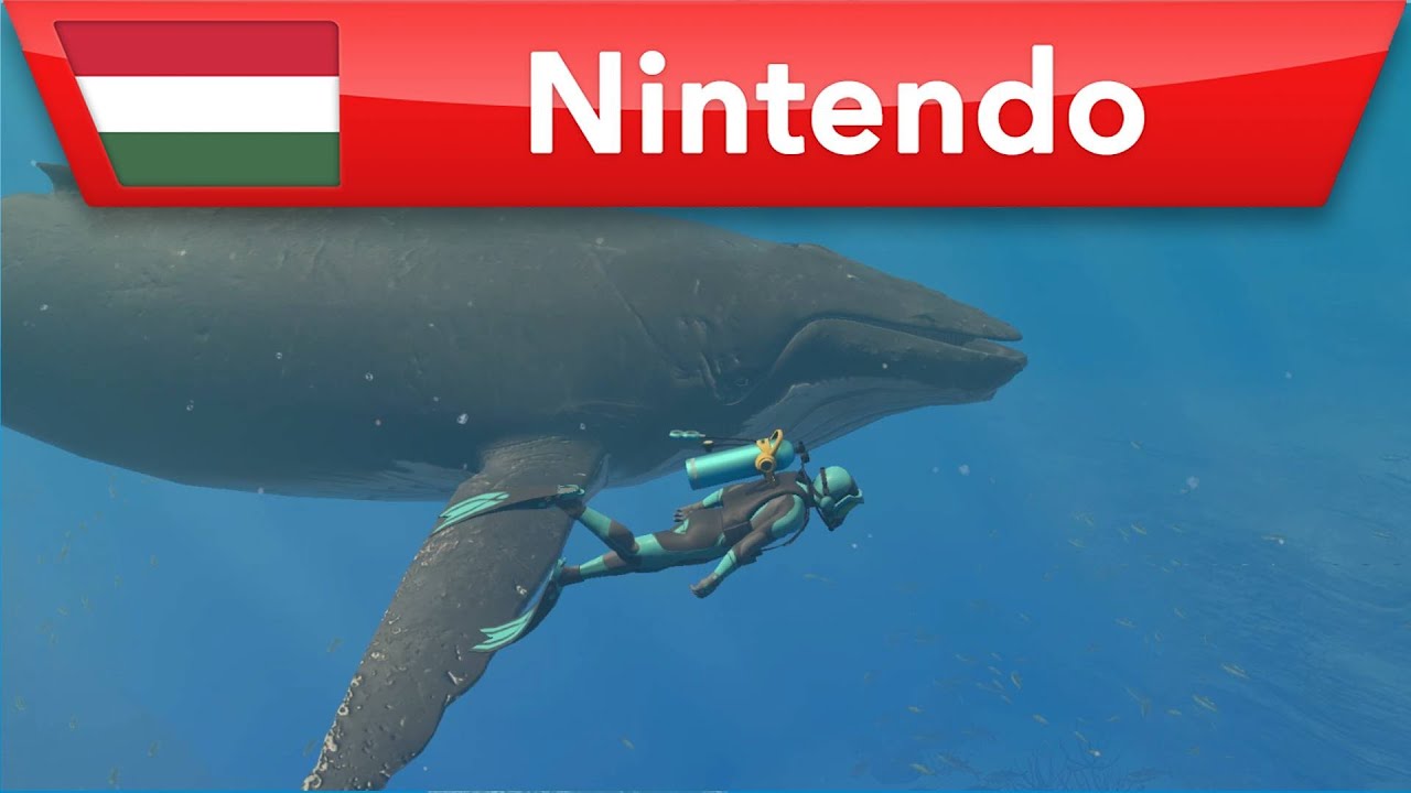 Mély merülés az Endless Ocean Luminous világában 🤿 | Nintendo Switch
