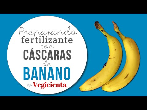 Cómo preparar fertilizante con cáscaras de banano o plátano