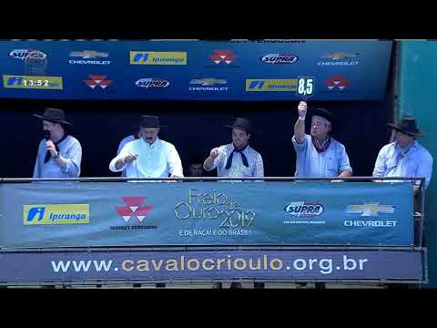Final Freio de Ouro (RS) - 3º lugar machos - Jotace Amuleto (prova: Mangueira II)