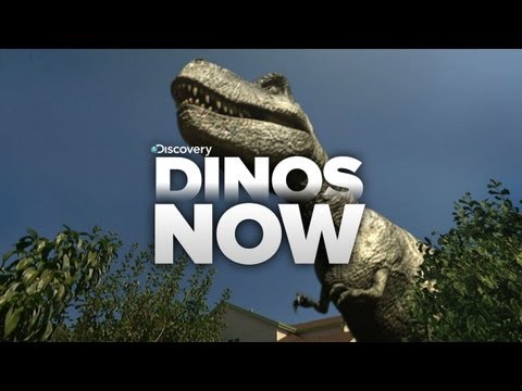 Dinos Invade Our World!