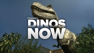 Dinos Invade Our World!