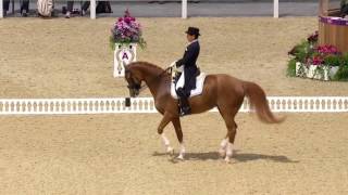 an old video! BALLIN- The Fooo Conspiracy