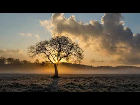 Het eenzame pad (Glorieklokken 265)