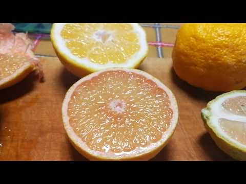 mandarin fogyás
