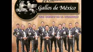 MARIACHI GALLOS DE MEXICO (NOCHE NO TE VAYAS) AUDIO