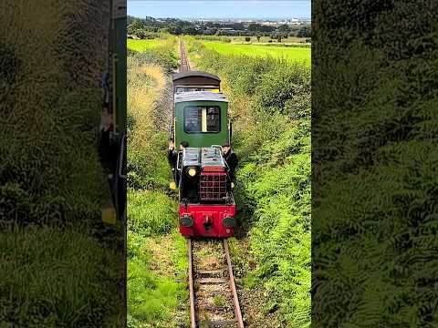Alf Passes Under Bridge #train #railway #Talyllyn