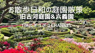 お散歩日和の庭園散策 旧古河庭園&六義園 #東京 #おでかけ #お散歩 #庭園 #連休 #ガーデニング #洋館 #バラ #つつじ #旧古河庭園 #六義園 #山手線 #tokyo #travel